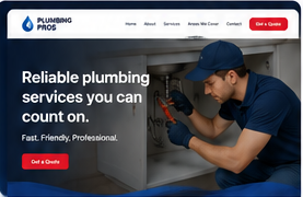 Plumbing Pros website concept